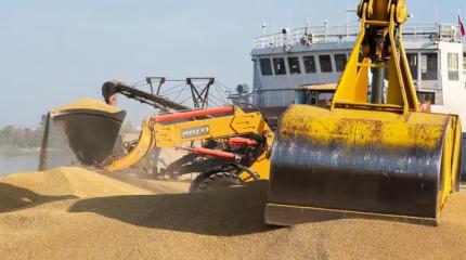 Чрезвычайная ситуация: транспортировка зерна под угрозой срыва