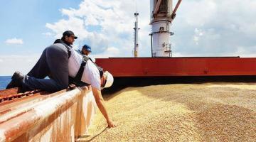 Евросоюз при реализации «зерновой сделки» думает только о собственной шкуре