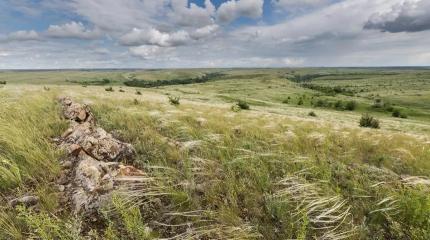 Новая Россия: в ДНР решают проблемы с водой, в ЛНР создают заповедник