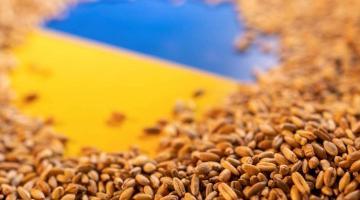 Украина требует принудительной эвакуации с Донбасса рекордного урожая зерна