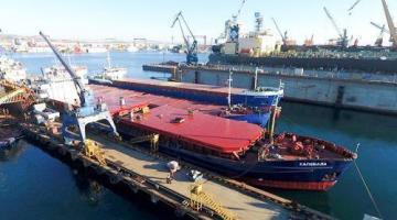 РФ создает флот для перевозки зерна