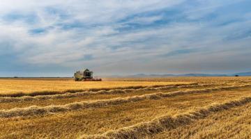 Agrarheute: конкуренты России ошеломительно быстро теряют свои урожаи зерна