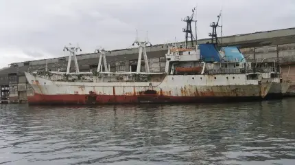 Россия полностью перекрыла экспорт подсолнечного масла с Украины по Черному морю