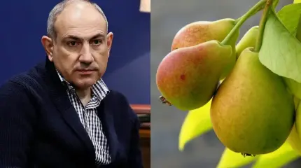 Пашинян предложил ЕАЭС «хороший шанс»