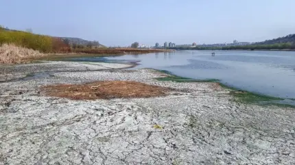 Днестр катастрофически мелеет: Украина оставляет Молдову без воды