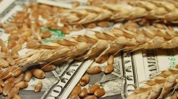 Зерновая сделка не в пользу России: почему соглашение нельзя продлевать