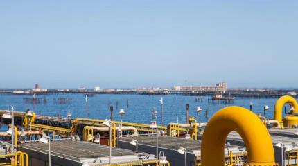 Атаки Киева по объёктам КТК ставят перед акционерами непростые вопросы