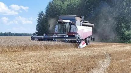 Новая Россия собирает урожаи у линии фронта, возводит мосты