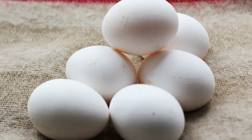 Украина впервые за 30 лет заинтересовалась белорусскими яйцами