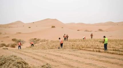 Межрегиональная группа «ЦА – Россия» бросает вызов опустыниванию