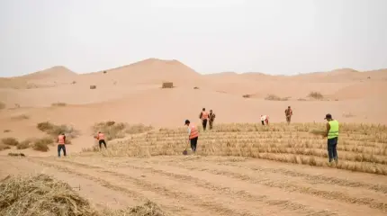 Межрегиональная группа «ЦА – Россия» бросает вызов опустыниванию