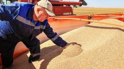 Урожай для экспорта или для народа? Амбары ломятся, а кошелки пустеют