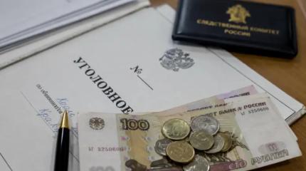 Обманула государство? Самозанятая попала под уголовку из-за 168 рублей