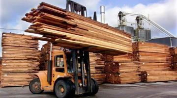 Без истерик — особенности национальной торговли лесоматериалами