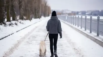 Новый удар по владельцам собак: в РФ готовят налог на выгул животных