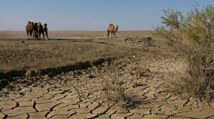 Борьба за воду в ЦА не должна приобретать нецивилизованные формы