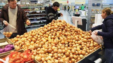 Репчатый лук схарчили заморозки и чиновники