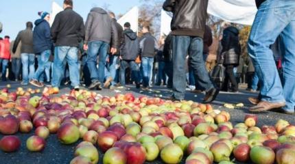 «Сотни стран не заменят Россию»: польские аграрии снова хотят на рынок РФ