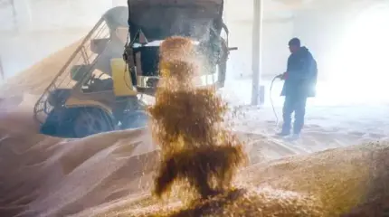 «Путин над нами издевается»: Российская пшеница стала новой нефтью