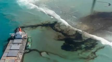 Сатисфакция за экокатастрофу: разлив мазута в Черном море встал в миллиарды