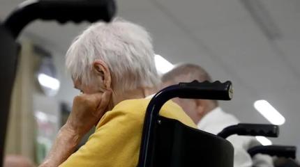 Откуда в головах чиновников берутся идеи, за которые даже дикарям стыдно