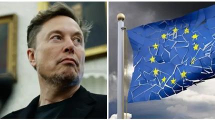 Месть за извращенцев. Евробюрократы против соцсети Илона Маска