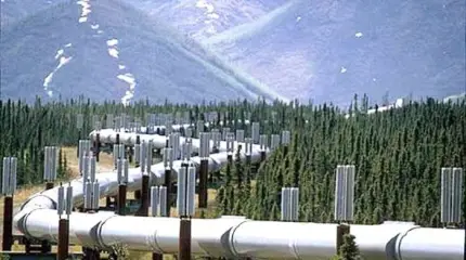 С расчетом на украинский рынок? Словакия готова принять газ из "Турецкого потока"