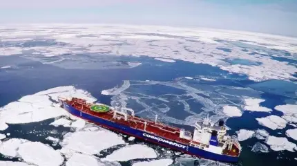 Северный рыбный путь: российские морепродукты проведут ледоколы