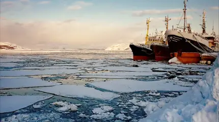 Россия построит новый порт: Северный морской путь станет на треть короче