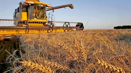 Как потепление нарастит экспорт российского зерна