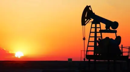 Япония планирует отказаться от нефти и газа из России, Саудовской Аравии и других поставщиков к 2050 году