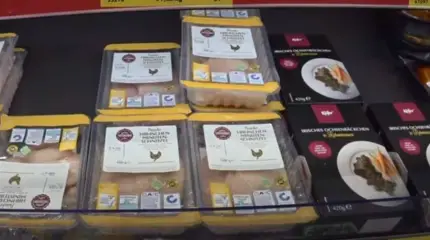 Магазин в Мюнхене: сколько стоят продукты в Германии