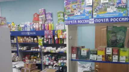 По стопам «Сбера»: «Почта России» хочет создать свою «экосистему» и торговать всем подряд