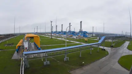 На Украине призвали искать альтернативу газу и предложили биотопливо из сельскохозяйственных и древесных отходов
