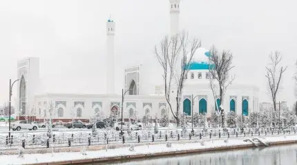 Россия и Узбекистан укрепляют сотрудничество в энергетической сфере
