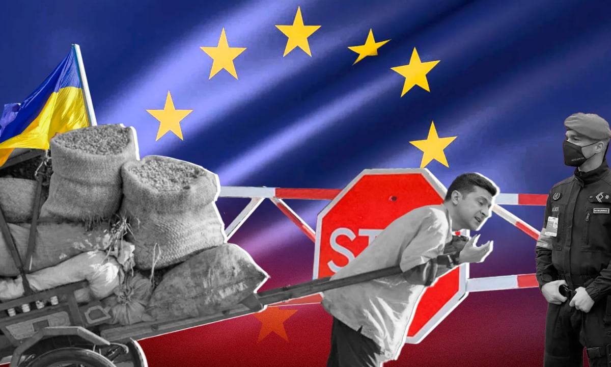 Коррупция? Правда о трюке США с украинским зерном всплыла наружу