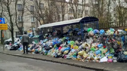 Результаты мобилизации: Украина тонет в мусоре, одолевают крысы и клещи