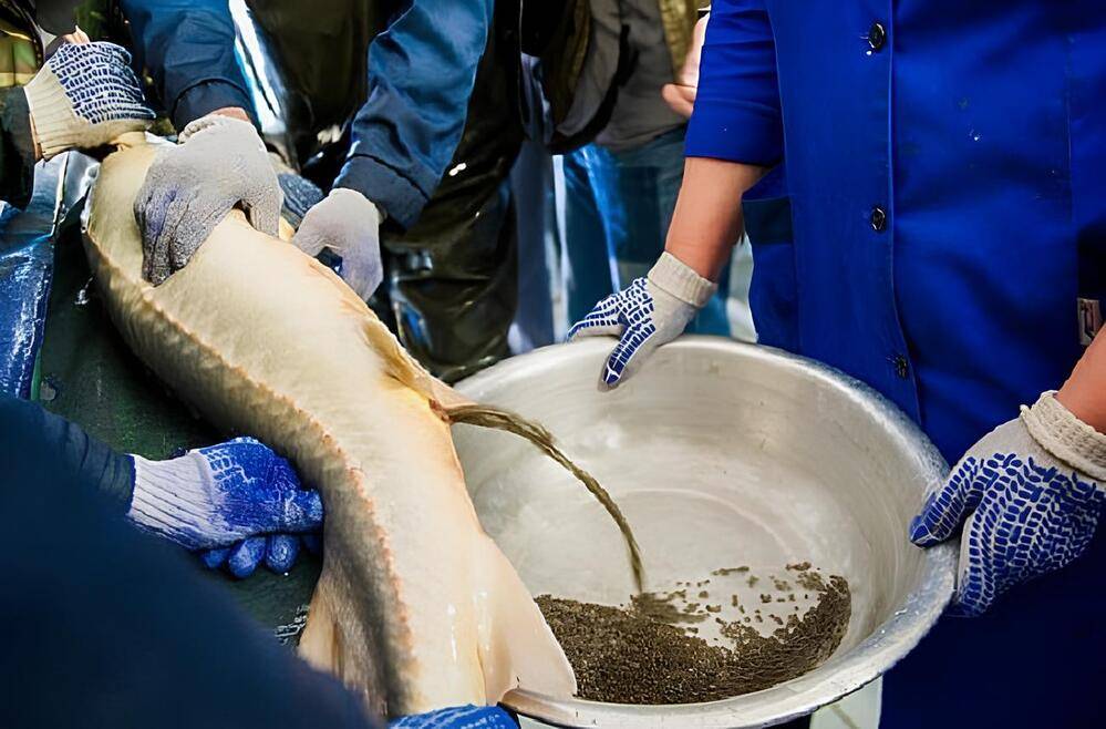 Казахстанские производители стремятся открыть рынок Евросоюза
