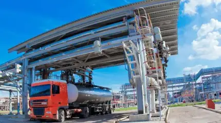 «Просто копни лопатой»: В Оренбуржье твердую нефть можно собирать в степи