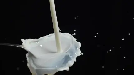 В России могут ужесточить ответственность за фальсификацию молочных продуктов
