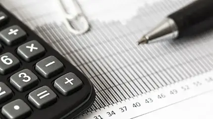 Введут ли в России налог на тунеядство в 2025 году?