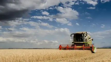 Кризис дорожно-строительной и сельхозтехники в РФ: причины и последствия