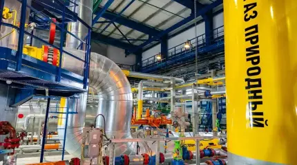 Последний крупный европейский покупатель «Газпрома» заменяет российское топливо