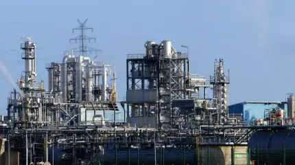 В России нашли способ покончить с бензиновым кризисом без ремонта НПЗ