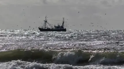 Россия отомстит Норвегии за притеснение своих рыбаков к концу года