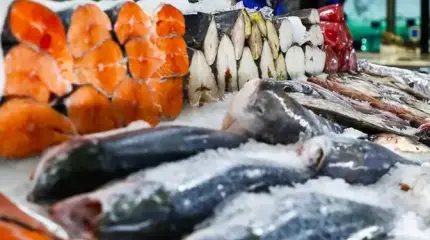 Селедка под норковой шубой: Почему рыба ищет, где дороже