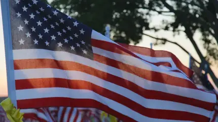 Туалетная бумага может приблизить революцию в США и вынос Трампа