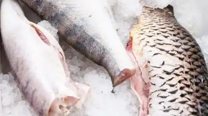 Какой рыбный четверг! Судак, сазан и лещь с корюшкой давно дороже курицы