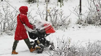 Сибирь и Урал теряют людей, хотя богатств на пол-Европы хватит