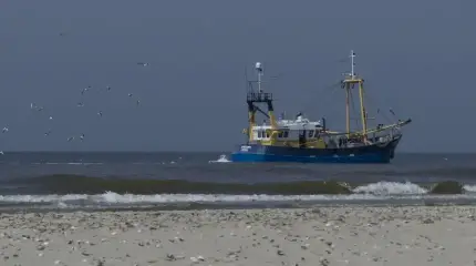 Россия открыла двери своим рыбакам в атлантические воды Марокко